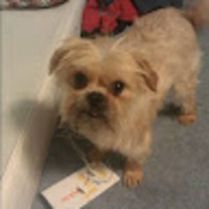 Meet your Posher, Nick